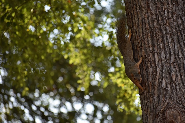 40岁魔笛仍不老！助米兰领跑意甲+连续10轮踢满全场